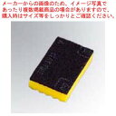 キクロン タワシ A型 ビッグ【ECJ】
