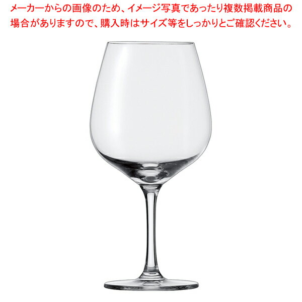 ショット・ツヴィーゼル コングレッソ ブルゴーニュ 113773(6個入) 【ECJ】