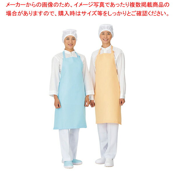 ドクターアースエプロン 首掛けタイプ E3500-0 オフホワイト 【ECJ】