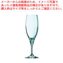 【まとめ買い10個セット品】センセーション フルート160 53478 160cc(12個入)【ECJ】