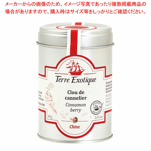 ơ륨ƥå ʥڥåѡ 40g TE0044-01 ECJ