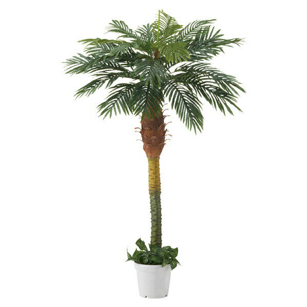 デラックスパームツリー(人工樹木)1台 61-428-25-1【演出・ディスプレイ用品 店内装飾用品 フェイクグリーン（人工樹木） デラックスパームツリー フェイクグリーン/人工樹木】【ECJ】