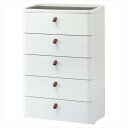 ロイヤルドロアーW72.5cm 5段 1台 61-479-92-4【ECJ】