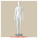 婦人全身腰受けリアルマネキン可動腕 61-799-7-1【ECJ】