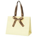 手提げ紙袋ノブレス クリーム M 10枚 23×12×18cm 61-431-35-6【ラッピング用品 ラッピングシリーズ バレンタイン・イースター・入学 手提...