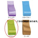 【まとめ買い10個セット品】サテン 10mm幅 マスカット 61-800-69-42【店舗什器 小物 ディスプレー ギフト ラッピング 包装紙 袋 消耗品 店舗...