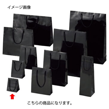 手提げ紙袋 ブライトバッグ クロ 10×7×12cm 10枚【 ラッピング用品 ラッピングシリーズ バレンタイン・イースター・入学 ブライトバッグ ブラックシモジマ 紙袋 ツヤ有り 黒 】【ECJ】