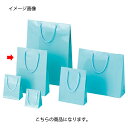 手提げ紙袋 ブライトバッグアサギ22.5×8×32cm 50枚 61-314-6-20【ラッピング用品 ラッピングシリーズ バレンタイン・イースター・入学 ブラ...