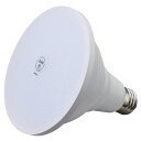 LEDビーム球屋内外兼用 150W形昼光色 61-661-29-3【ECJ】