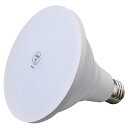 LEDビーム球屋内外兼用 150W形電球色 61-661-29-4【ECJ】