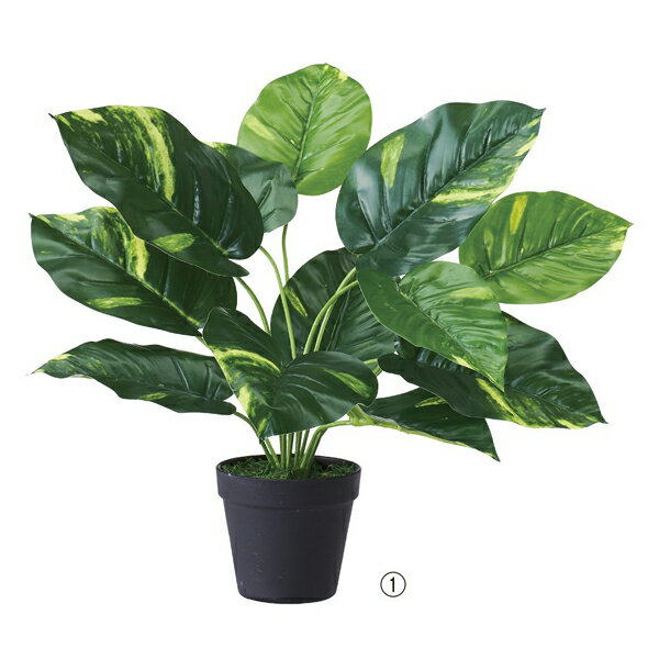 【まとめ買い10個セット品】グリーンポット ポトス 61-655-68-1【ECJ】