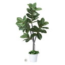 【まとめ買い10個セット品】ゴムの木(人工樹木) H150cm 61-655-55-4【ECJ】