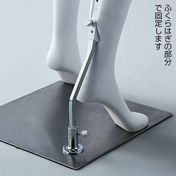 ABS���ؿ����ȥꥢ��ޥͥ���ӳ��� 61-780-44-1�ڴ�ͭ��ۡ�ECJ��