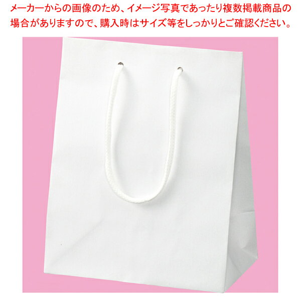 カラー手提げ紙袋 スノーホワイト 20×12×25 100枚 61-549-37-4【クラフト/持ち手付き】【ECJ】