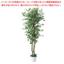 【まとめ買い10個セット品】立ち木(人工樹木) ベンジャミングリーン/ホワイト 61-752-67-2【ECJ】