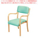 木製スタッキングチェア アーム付き(フランコ) PVC張り 完成品 ライトグリーン 61-794-29-1【ECJ】