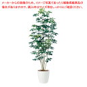 【まとめ買い10個セット品】シュフレラ(人工樹木) 180cm 光触媒加工1台 61-798-96-4【ECJ】
