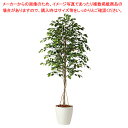 【まとめ買い10個セット品】フィカスベンジャミナ(人工樹木) 180cm 1台 61-798-97-2【ECJ】