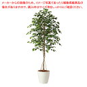 【まとめ買い10個セット品】フィカスベンジャミナ(人工樹木)180cm光触媒加工 1台 61-798-97-4【ECJ】