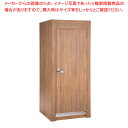 木製フィッティングルーム ドアタイプ 照明付きラスティック柄 61-810-5-4【ECJ】