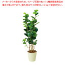 人工樹木 H160cm シーグレープ 61-810-67-1【ECJ】