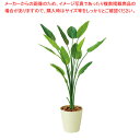 【まとめ買い10個セット品】人工樹木 H160cm ストレチア 61-810-67-2【ECJ】