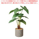 【まとめ買い10個セット品】セメントポット アンスリュームリーフ 61-810-69-2【ECJ】