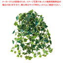 【まとめ買い10個セット品】グリーンブッシュ アイビー斑入り 61-810-72-2【ECJ】