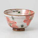 和食器 紅山茶花 茶碗 37K316-20 まごころ第37集 【ECJ】