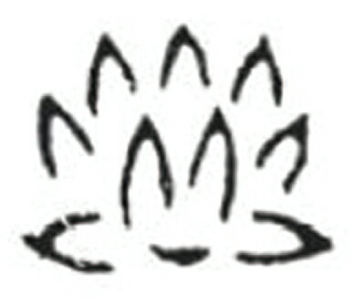 thum2
