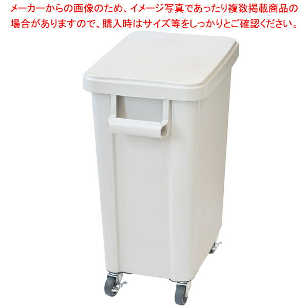 ˼ѥ㥹ڡ 45L 졼 (ӿ) ꥹECJ
