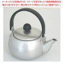 かすが急須II つる付 0.6L【ECJ】