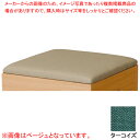 クッション(布張) ターコイズ KUMI450FTQ 【ECJ】