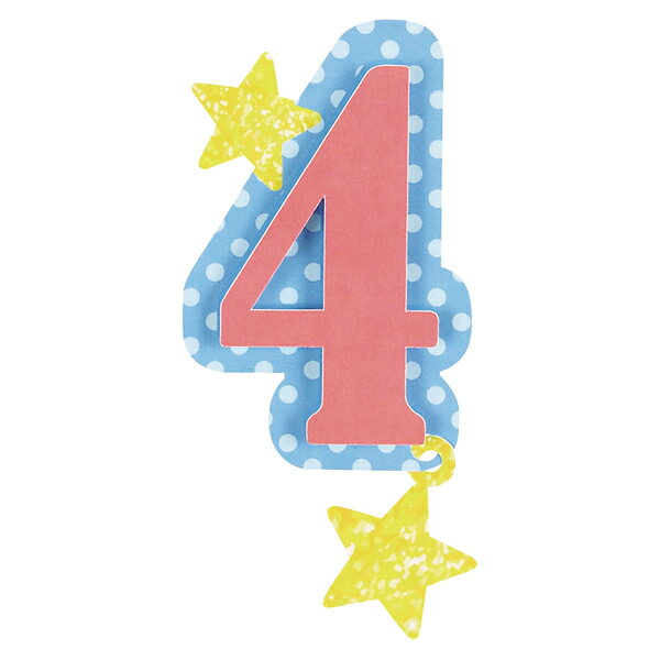 ǥ եȥץåץ 4ECJ
