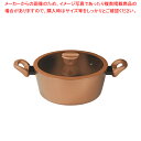VISIONS GOLD Coating IH対応シチューポット24cm 【ECJ】
