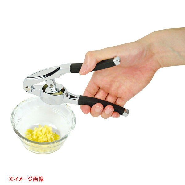 マルシェ&キッチンカーWORLDのENJOY KITCHEN にんにく絞り器 シルバー 【ECJ】｜アングル2
