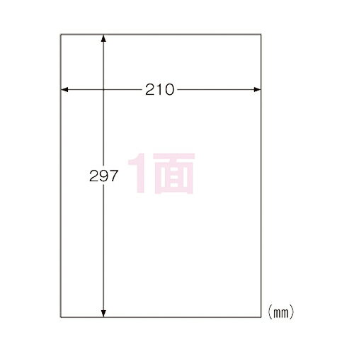 【まとめ買い10個セット品】 ヒサゴ 屋外用ラベル KLP862S 10枚【ECJ】