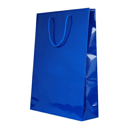 【まとめ買い10個セット品】 シモジマ HEIKO　ブライトバッグ 006138008 コン 1枚【ECJ】