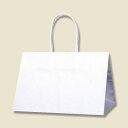 【まとめ買い10個セット品】Pスムースバッグ 31-19 白無地 25枚【ECJ】