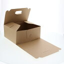 ネオクラフト キャリーBOX LL 20枚【ECJ】