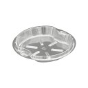 クリーンフォーユーBOWL中皿1S M CN 50枚【ECJ】