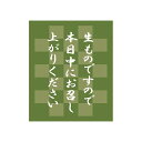 【まとめ買い10個セット品】タックラベル No.801 生もの緑 30×25 1束【ECJ】