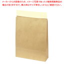 宅配袋 未晒 260×80×320 10P【ECJ】