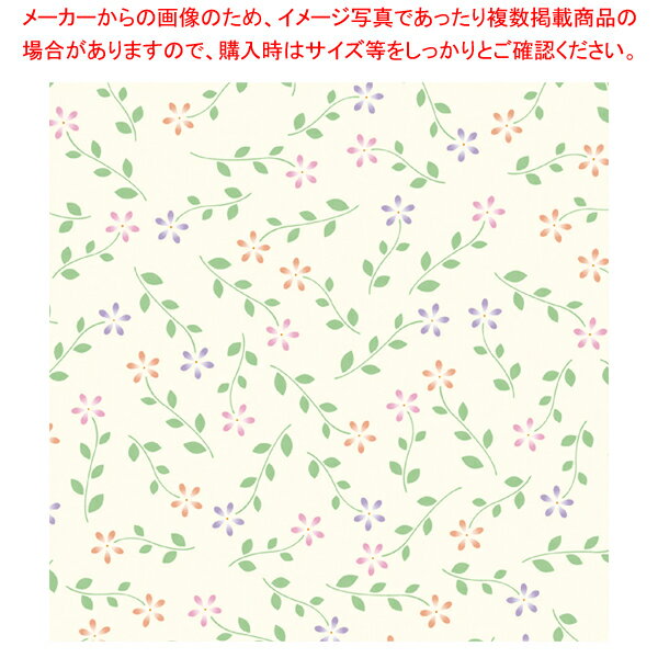 10 ץƥե롼 ȾȽECJ