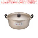 遠藤商事 / TKG 本しゅう酸 美菜食 両手鍋 34cm【人気 業務用 販売 楽天 通販】【ECJ】