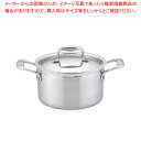 ステンレス ビタクラフト・プロ 両手鍋 20cm No.0242【人気 業務用 販売 楽天 通販】【ECJ】
