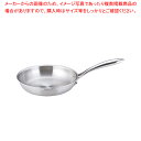 ステンレス ビタクラフトプロ フライパン 24cm No.0313【フライパン ih対応 フライパン プロ用 フライパン プロ仕様 ih フライパン 人気 ih用 調理器具 ih フライパン オススメ】【ECJ】
