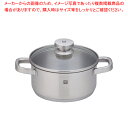 ツヴィリング ジョイ シチューポット 20cm 64042-200【調理器具 厨房用品 厨房機器 プロ 愛用 販売 なら 名調】【ECJ】