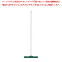 カーライルフロアスクイージー ハンドル付 41567 18インチ グリーン【清掃用品 ドライワイパー 水切り 清掃用品 ドライワイパー 水切り 業務用】【ECJ】(3)