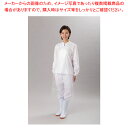 クリーンエプロンDX ナチュラル【人気 業務用 販売 楽天 通販】【ECJ】